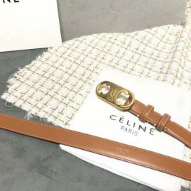 Picture for category Celine Belts